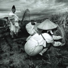 f4a5d12a7eefa12616a415911e65222a