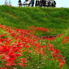 429d48967a9512df3679d5e20f7162d5