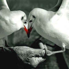 039ffdeb571182dd9410994c1fffc217