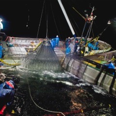 210f24bd7658e4485f36fcbca18fea1b