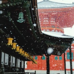 d8e98d4a98339f38657c95e7b5060190