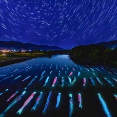 08bc14ac96a31dce9e74a6cfe3a78a7e