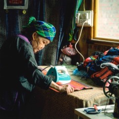 d8238d2fe39e8bae93f2072c1bbce3e8