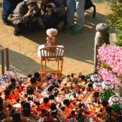 26a685c93dc14b2a5d11be70c234886b