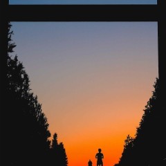 323e8db93855d96263215b00f1e4d535