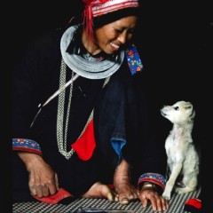 74a23aa63ce477f91db9def60c0a42f7