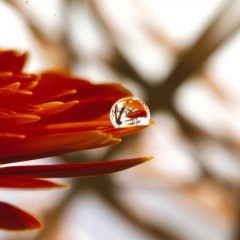 fb7f496e3f61f844c51e2e2289442692