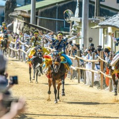 ff0568b4b8265f8b41a25ee068a5e503