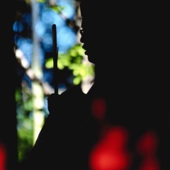 27d756b01ebecd7dcbd398a2ae50b373