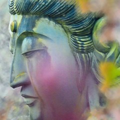 6c77824daa6eec03275a57394fd6231d