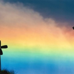 907c24e96a1ea0ce33108826865daa41