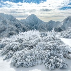 d1d329f6381c459567f9ccf2620461ac