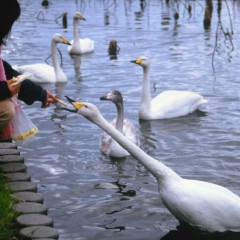 020f1f3ffaf5751cd7fed896fd97bea9