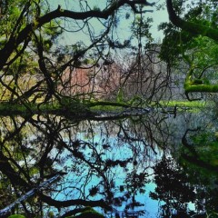 7ea9e5ae05d45a957bd08e4f7e7ebade