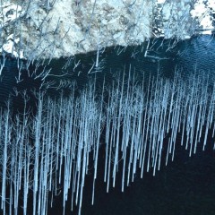 ada581f2e51cd148835ccab114912299