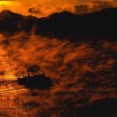 659239c749e4e8b99b9c036f12f4bbfd