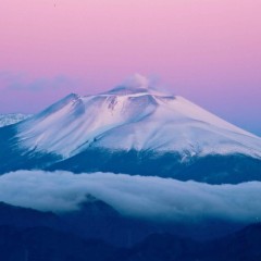 806e3bf0105f8d812e37d8085618cd44