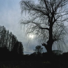 cb64f6a22186ab425daa5b02d0eb8934