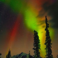 18ffb7b09cee4613a030f3f85a5dc992