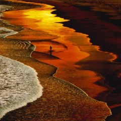 91fb02021c024223a14efe07bd52bd89