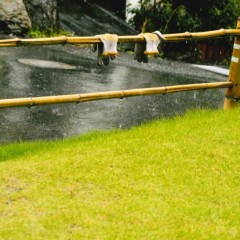 bffbdcc4c9c80745df0cdd6813573886