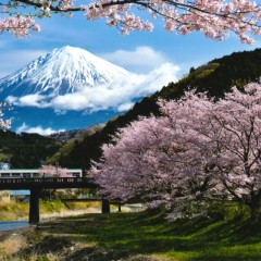 d35930ddda5893417bf28a7d2cd71674