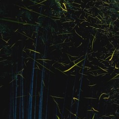 f51d1271ac3d4c8519224049cc324ed4