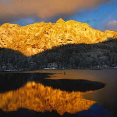 0b8c1839eee272c846c9aeffdbed45f6