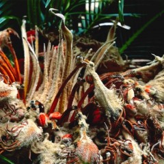 da0d7f8454b589cd72bfff006348055b