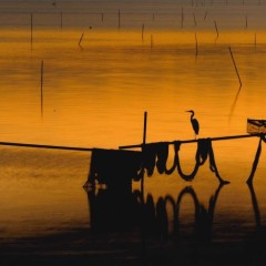 00b0b22c7969a2b4f303707df17d1bfb