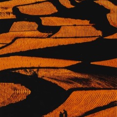 1e7fdba7acb5cac0765fd57953c46a29