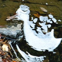 624f92390c8c622db941bb2bfa183a96