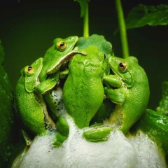 6efcb723a009994c08a481ff197becbb