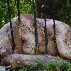 9492b35dca21363357d32d41321b9a63