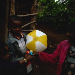 29db58a0d63af77d7d0800f642833e12