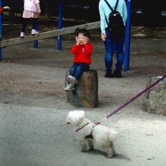 b2d57bf2a50b2c7569829fe577f76d6f