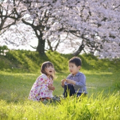 「桜色の風」