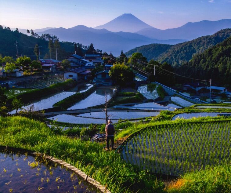 内藤均「棚田を見守る」