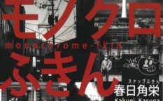 春日角栄-モノクロふきん